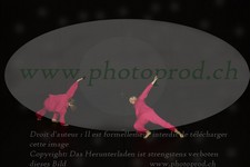 ref. photo 3178022