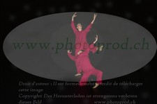 ref. photo 3178039