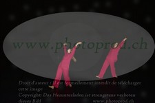 ref. photo 3178045