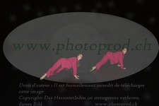 ref. photo 3178047