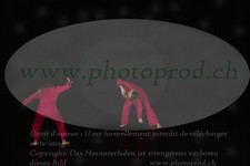 ref. photo 3178052