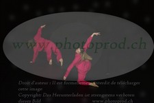 ref. photo 3178054