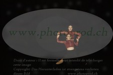 ref. photo 3178131