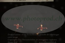 ref. photo 3178137