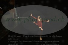 ref. photo 3178140