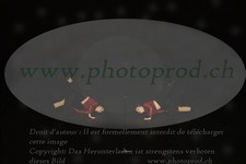 ref. photo 3178153