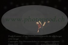 ref. photo 3178154