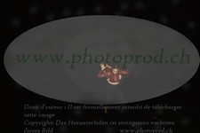 ref. photo 3178155