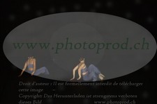 ref. photo 3178169