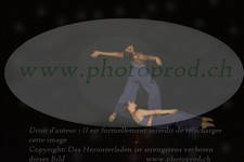 ref. photo 3178204