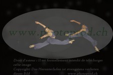 ref. photo 3178221