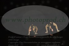 ref. photo 3178251