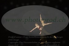ref. photo 3178353