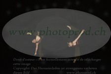 ref. photo 3178381