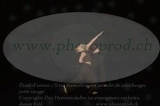 ref. photo 3178384