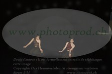 ref. photo 3178394