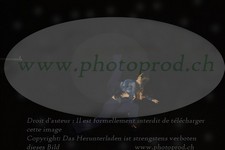 ref. photo 3178415