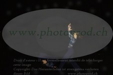 ref. photo 3178420