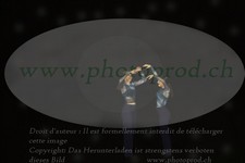 ref. photo 3178423