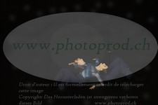 ref. photo 3178430