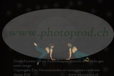 ref. photo 3178450