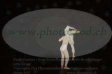 ref. photo 3178481