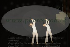ref. photo 3178494