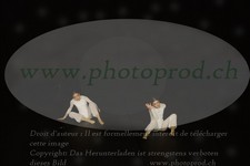 ref. photo 3178512