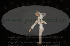 ref. photo 3178525