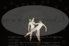 ref. photo 3178532