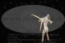 ref. photo 3178544
