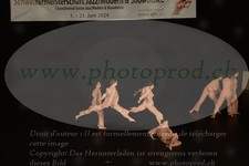 ref. photo 3178607