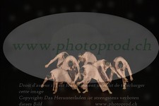 ref. photo 3178609