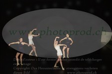 ref. photo 3178651