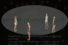 ref. photo 3178696