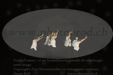 ref. photo 3178707