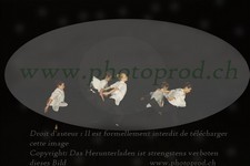 ref. photo 3178712