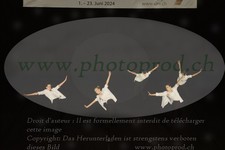 ref. photo 3178715
