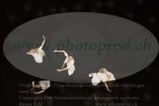 ref. photo 3178728