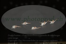 ref. photo 3178737