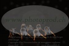 ref. photo 3178764