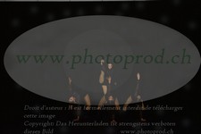 ref. photo 3178835