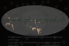 ref. photo 3178838