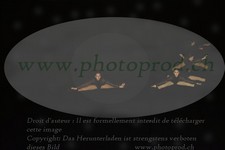 ref. photo 3178840