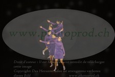ref. photo 3178856