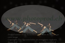 ref. photo 3178970