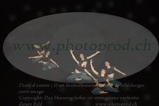 ref. photo 3178973