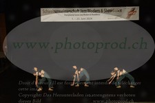 ref. photo 3178992