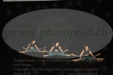 ref. photo 3179006