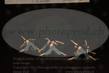 ref. photo 3179008